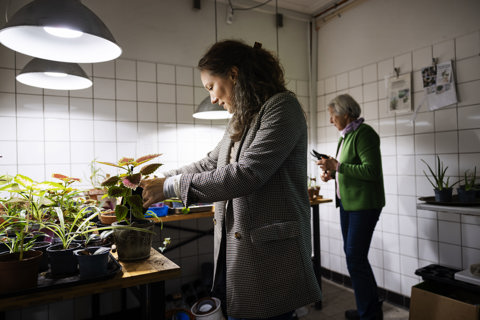 Billedet viser to kvinder i et planteværksted.