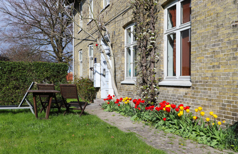 Billedet viser blomster foran et gult hus.